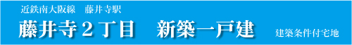 藤井寺2丁目新築一戸建分譲