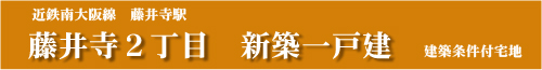 藤井寺2丁目新築一戸建分譲
